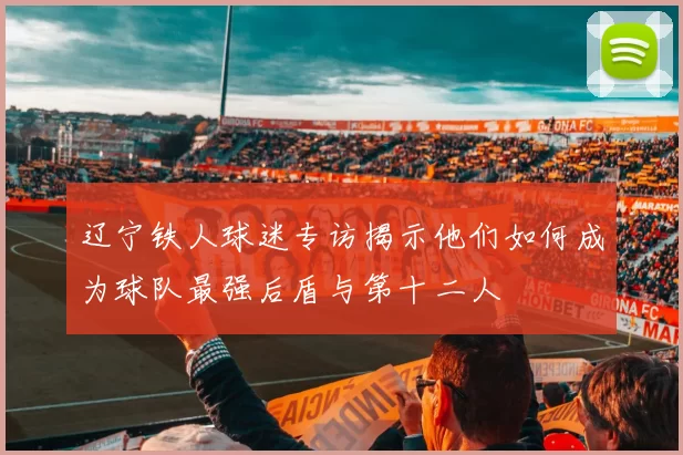 辽宁铁人球迷专访揭示他们如何成为球队最强后盾与第十二人
